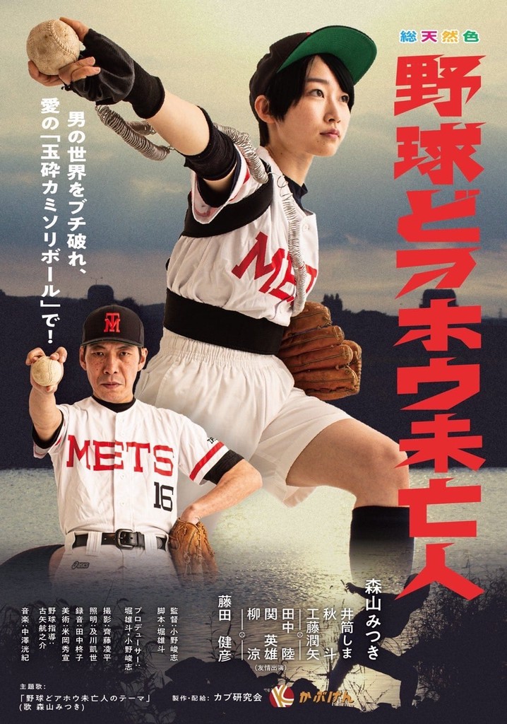 Baseball Idiot Widow