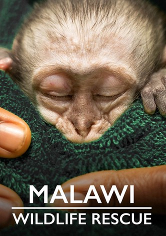 Malawi Wildlife-Rescue