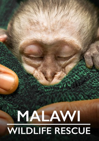 Malawi Wildlife Rescue