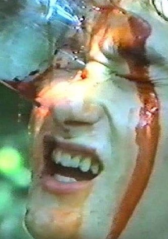 Cursed Woods