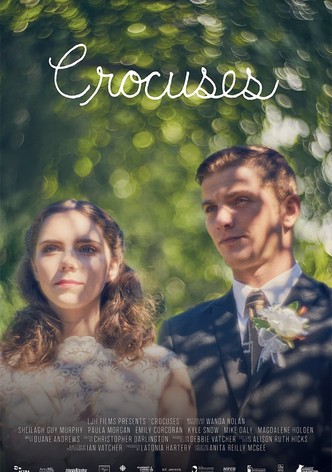 Crocuses