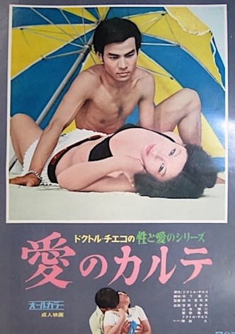 Doctor Chieko no sei to ai no series: Konzen kôshô