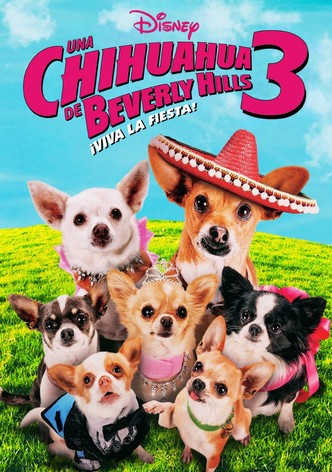 Un chihuahua en Beverly Hills 3: ¡Que viva la fiesta!