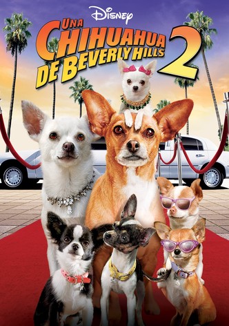 Un chihuahua en Beverly Hills 2