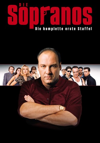 The sopranos online sale