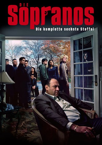 Staffel 6