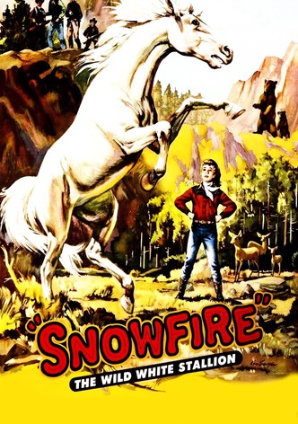 Snowfire