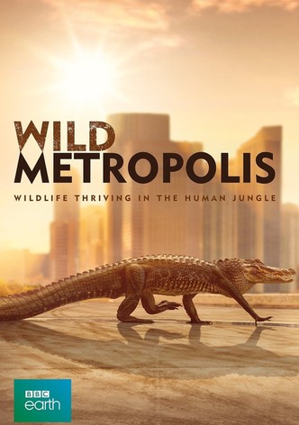 Wild Metropolis