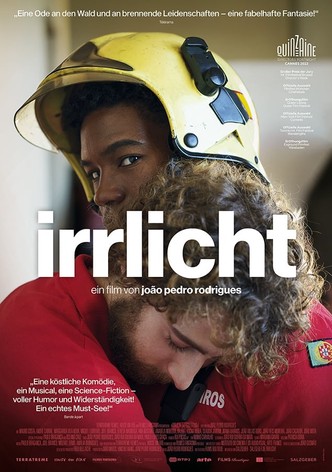 Irrlicht