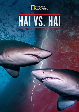 Hai vs. Hai