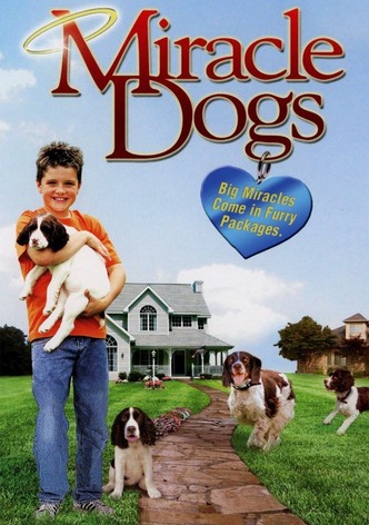 Miracle Dogs