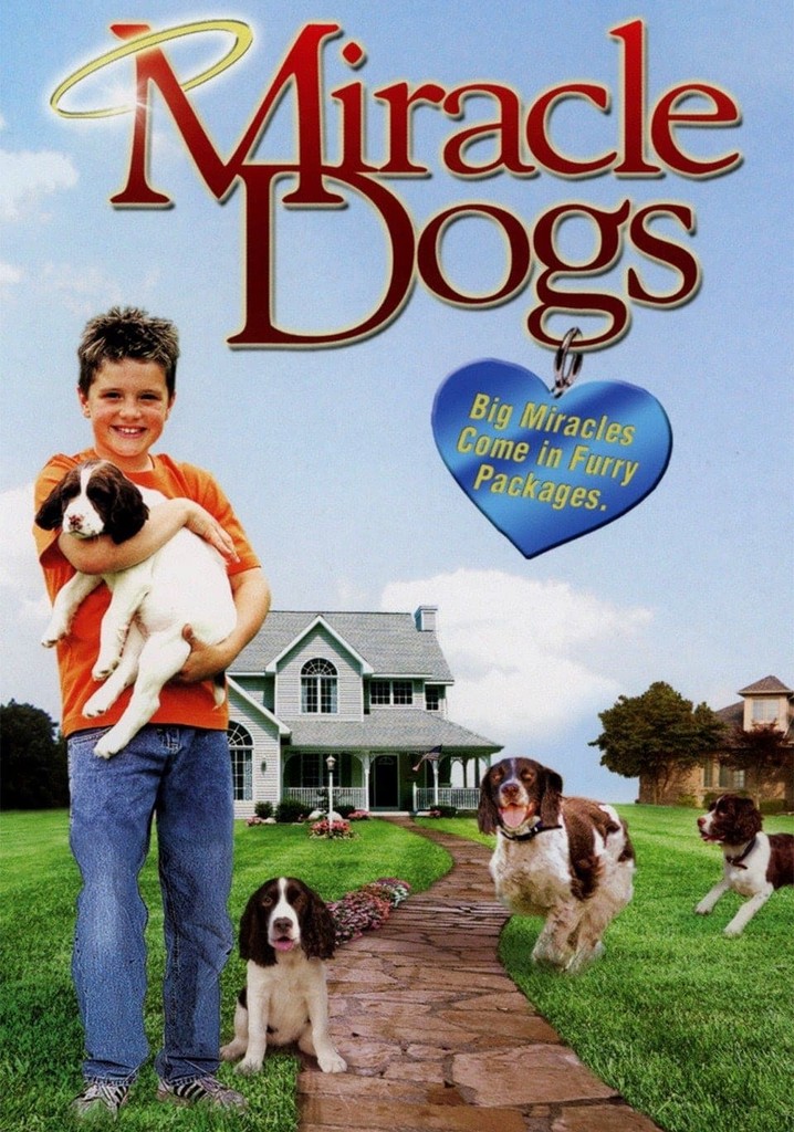 Miracle Dogs