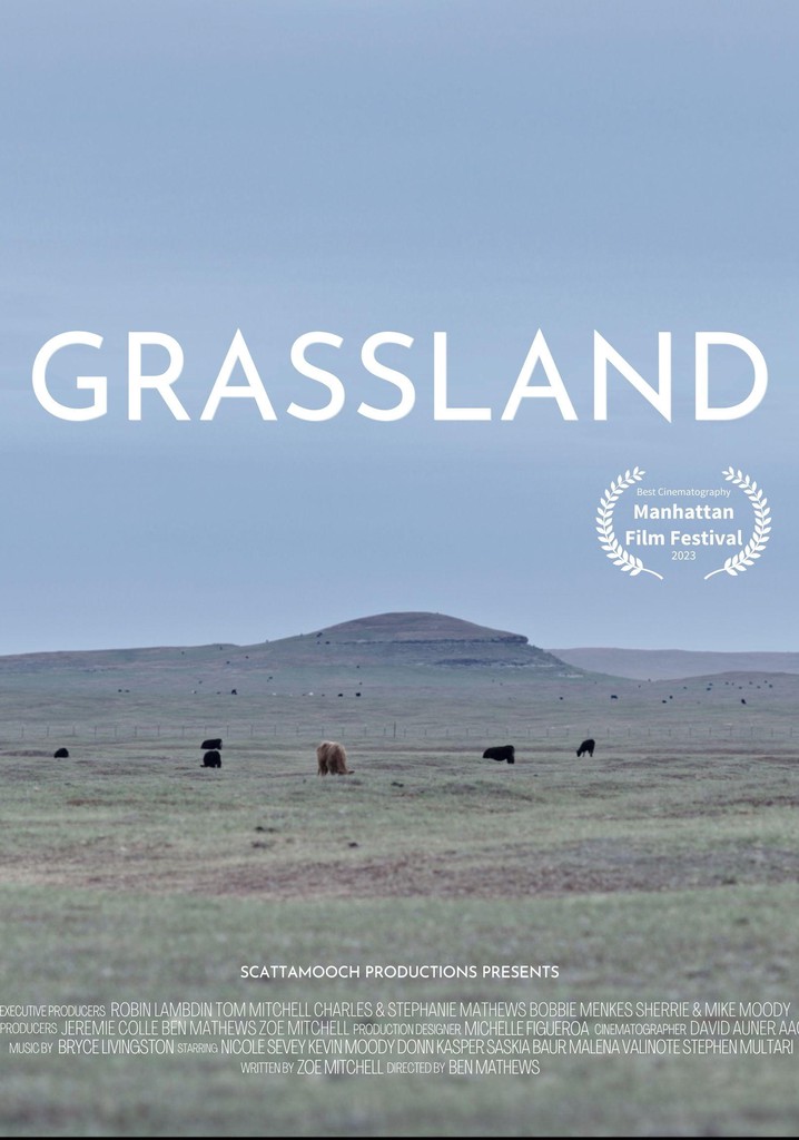 Grassland streaming: where to watch movie online?