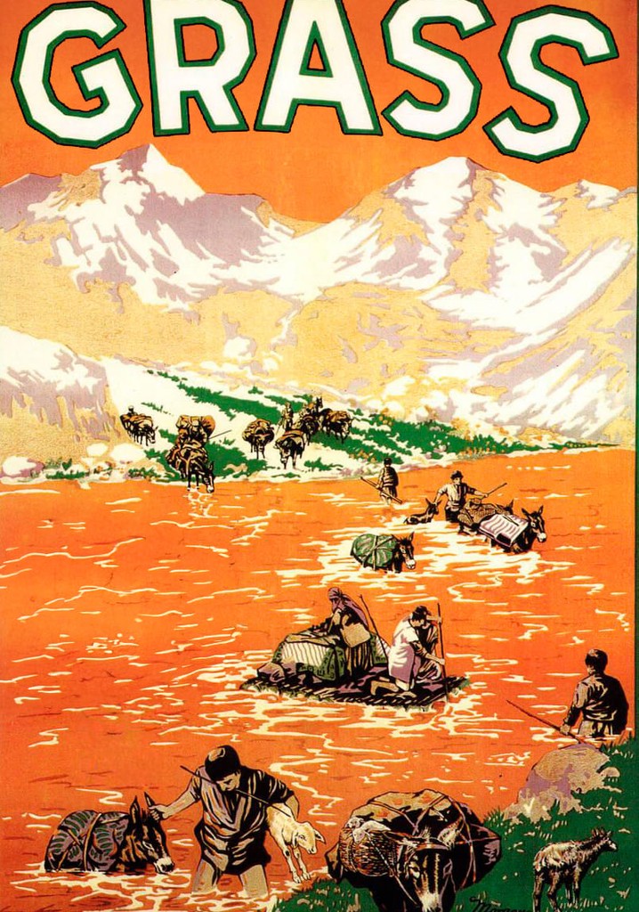 【中古DVD】Grass: Nation&#39;s Battle for Life (Silent) [DVD]／Merian C. Cooper/Ernest B. Schoedsack/Marguerite Harrison Grass: A Nation's Battle for Life (1925) - IMDb