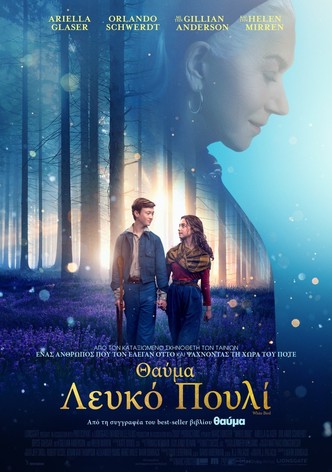 Θαύμα: Λευκό πουλί