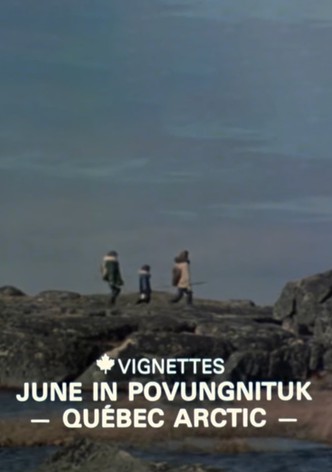 Canada Vignettes: June in Povungnituk - Quebec Arctic