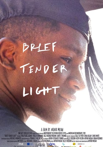 Brief Tender Light