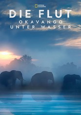 Die Flut - Okavango unter Wasser