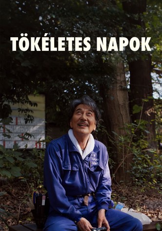 Tökéletes napok