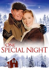 Zauber einer Winternacht