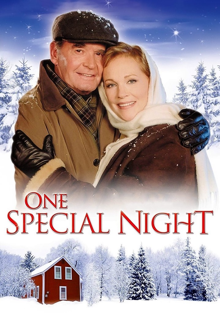 One Special Night