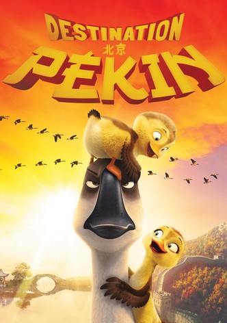 Destination Pékin !