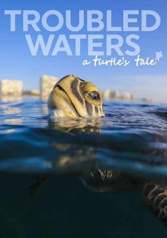 Troubled Waters: A Turtle's Tale