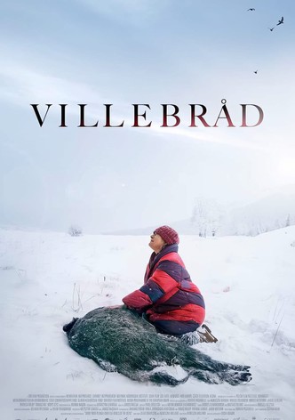 Villebråd