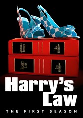 Harry's Law - Stagione 1