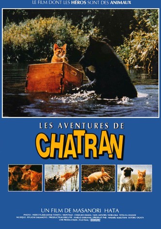 Les aventures de Chatran