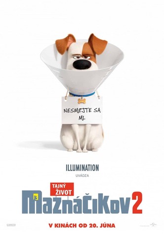 Tajný život maznáčikov 2