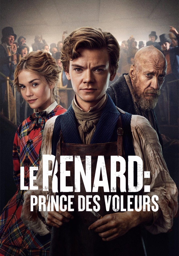 Regarder Le Renard Prince Des Voleurs Streaming