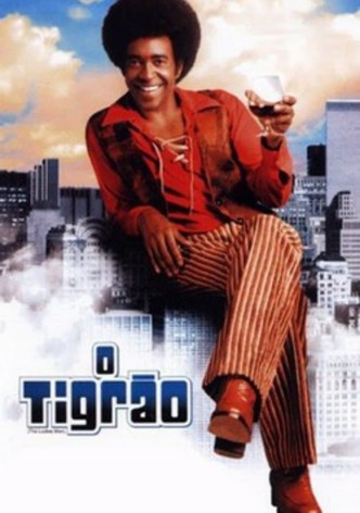 Especialista de Mulheres