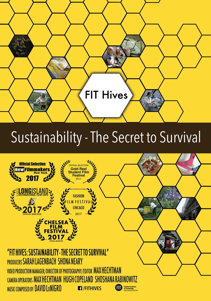 FIT Hives: Sustainability - The Secret to Survival