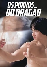 Os Punhos do Dragão