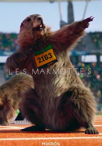 Les marmottes