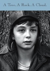 A Tree. A Rock. A Cloud.