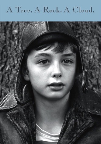 un arbol una roca una nube