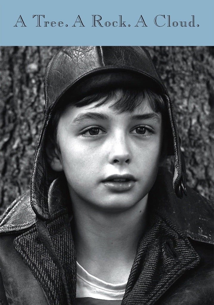 A Tree. A Rock. A Cloud.