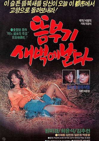 A Bird Flying At Dawn