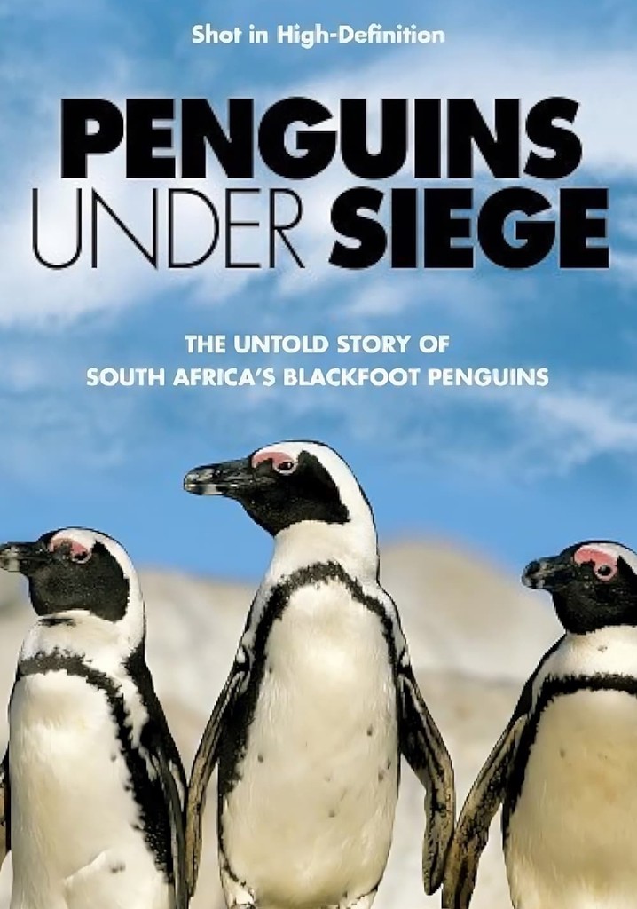 Penguins Under Siege