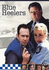 Blue Heelers
