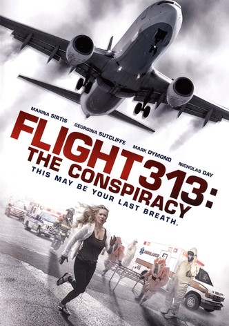 Flight 313: The Conspiracy