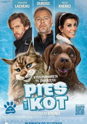 Pies i kot