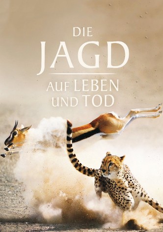 Die Jagd – Auf Leben und Tod