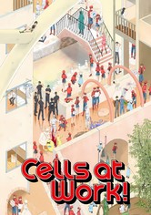 Cells at Work! - الموسم 1