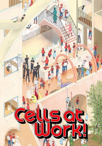 Cells at Work!