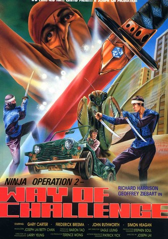 Ninja Operation 2 - Way of Challenge