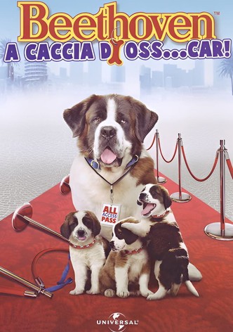 Beethoven - A caccia di Oss... car!