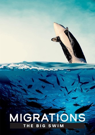 Muuttomatkat: Pitkä uintimatka